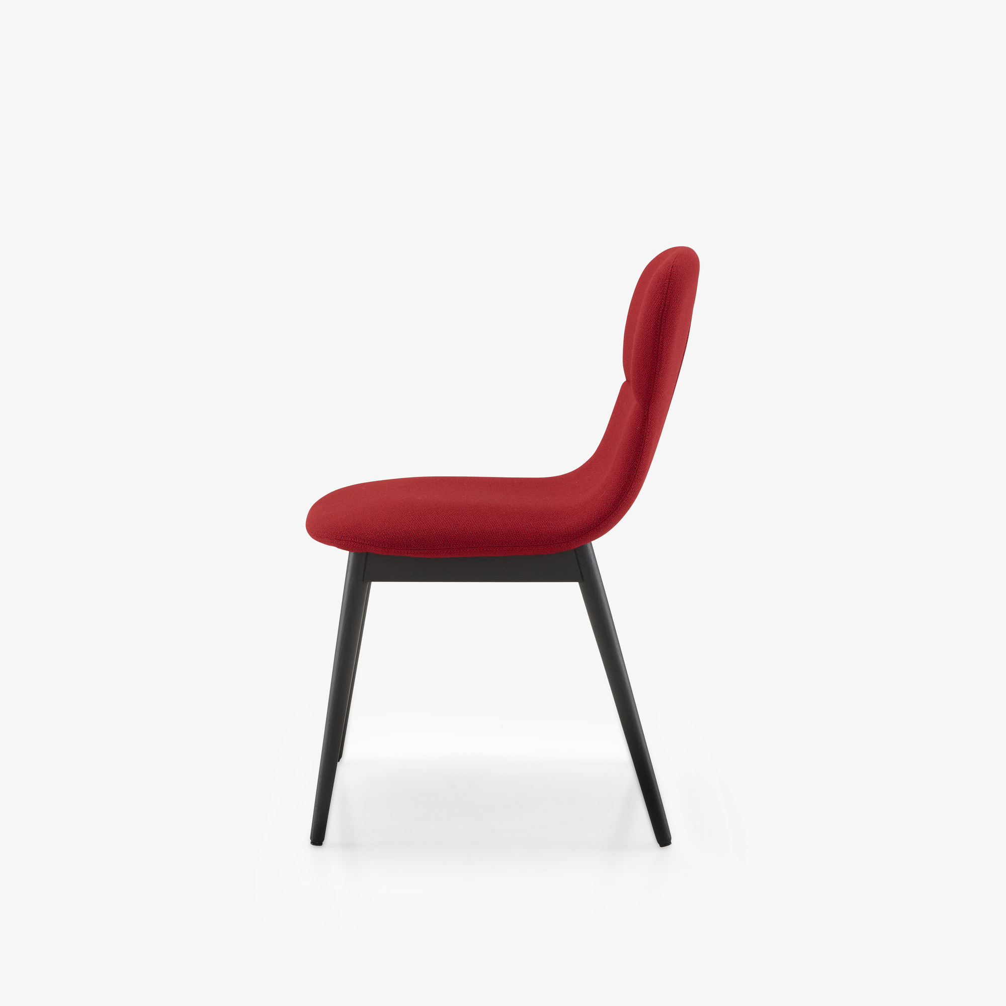 Image Chair - silvio 10