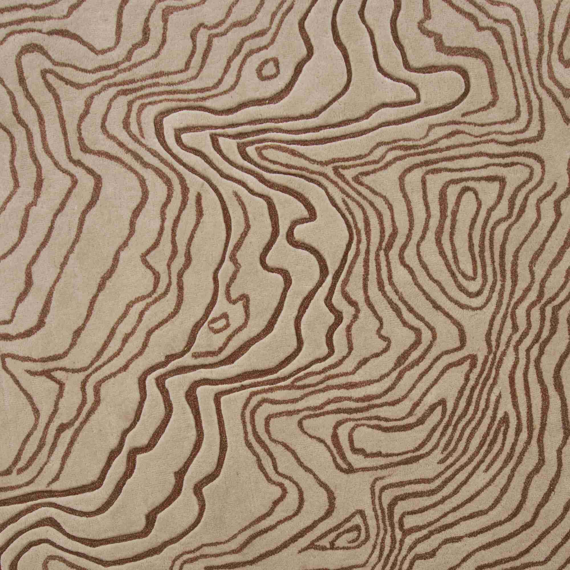 Image Tapis   2
