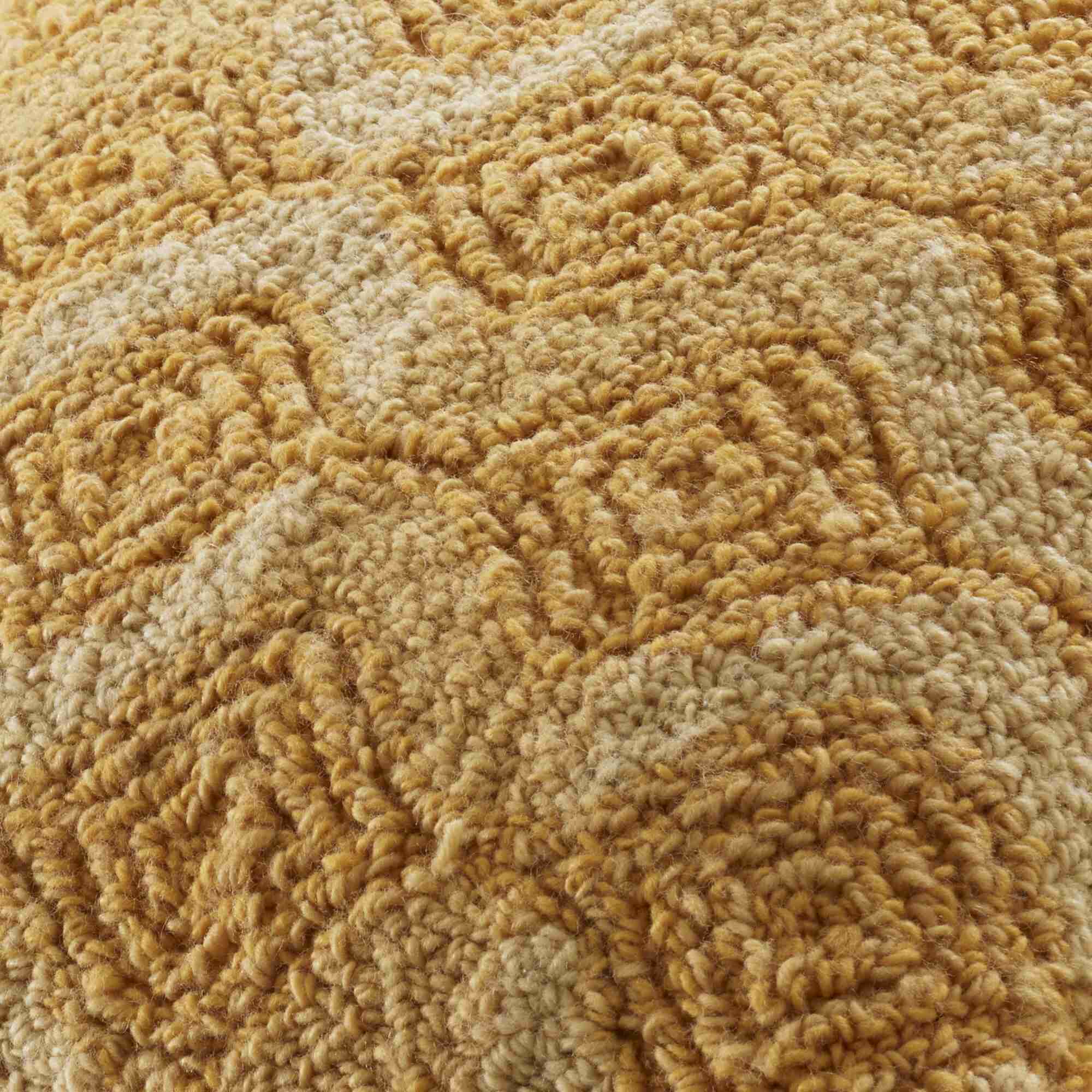 Image Cushion cover gingembre  2