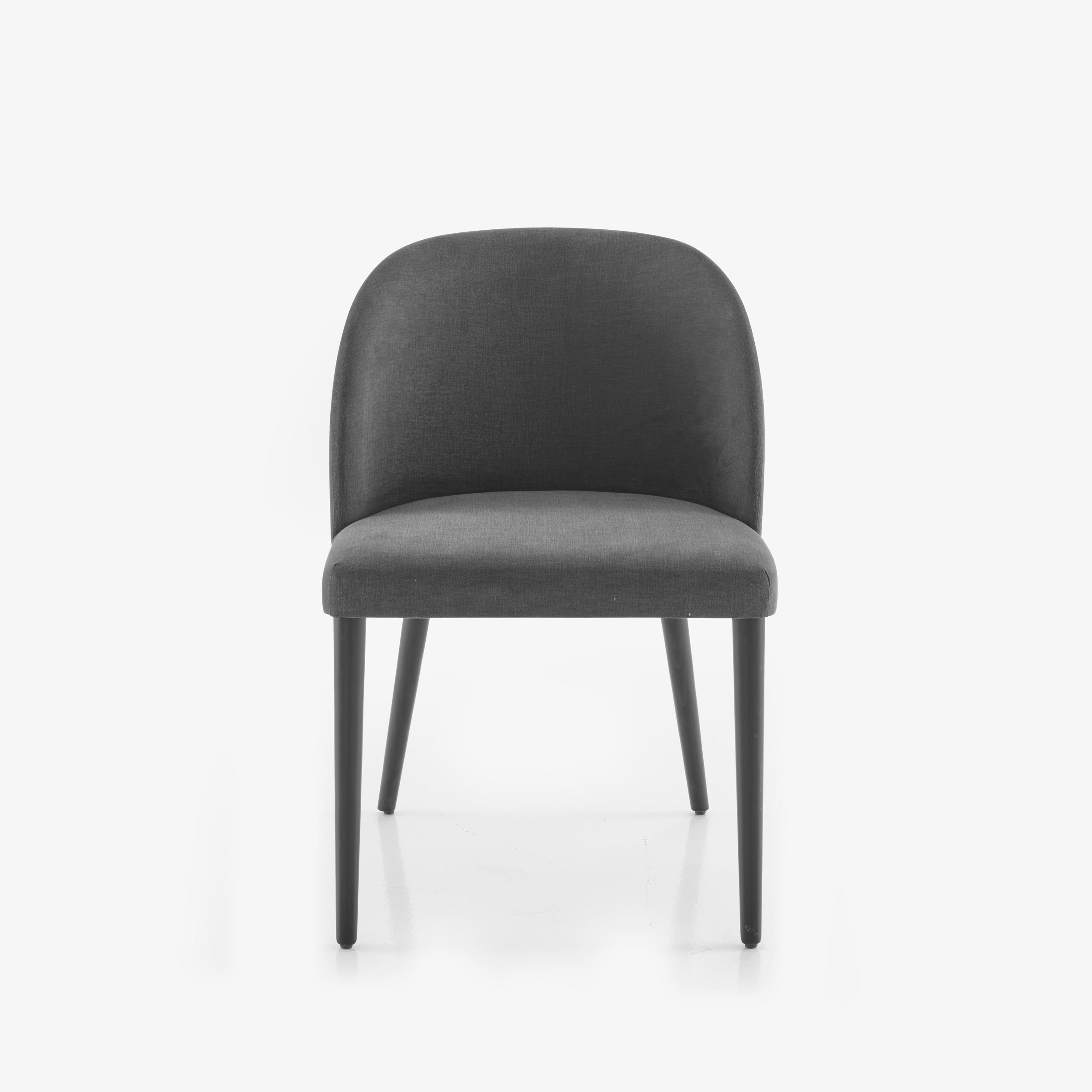 Image Chair fabric-anthracite  1