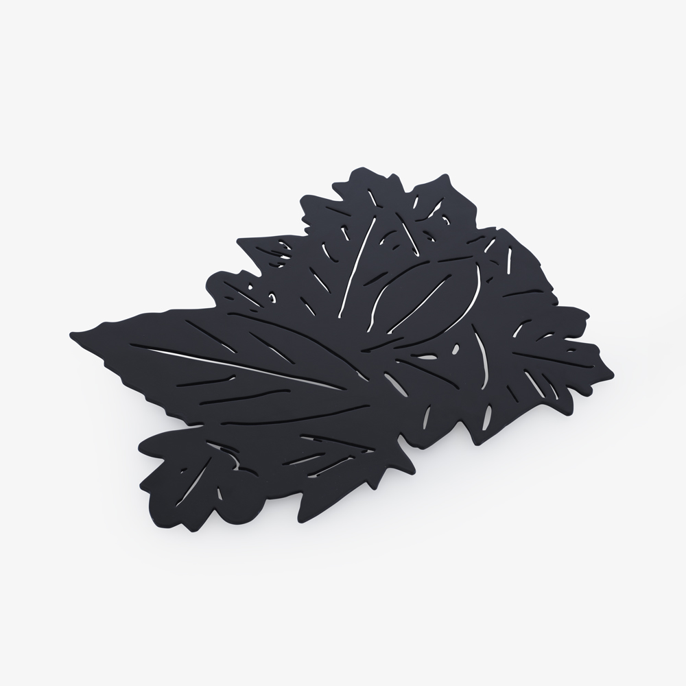 Image Repose plat noir mat  2