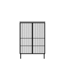 VITRINE AVEC 2 ÉTAGÈRES 